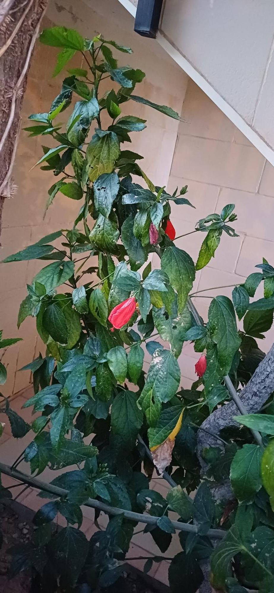 The Roof Garden Maisonette Marsaskala Exterior photo